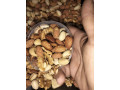 myks-mksrat-mdakhnh-small-0
