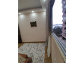 shk-llbyaa-fy-hloan-aldoagn-aal-alkornysh-mbashr-small-3